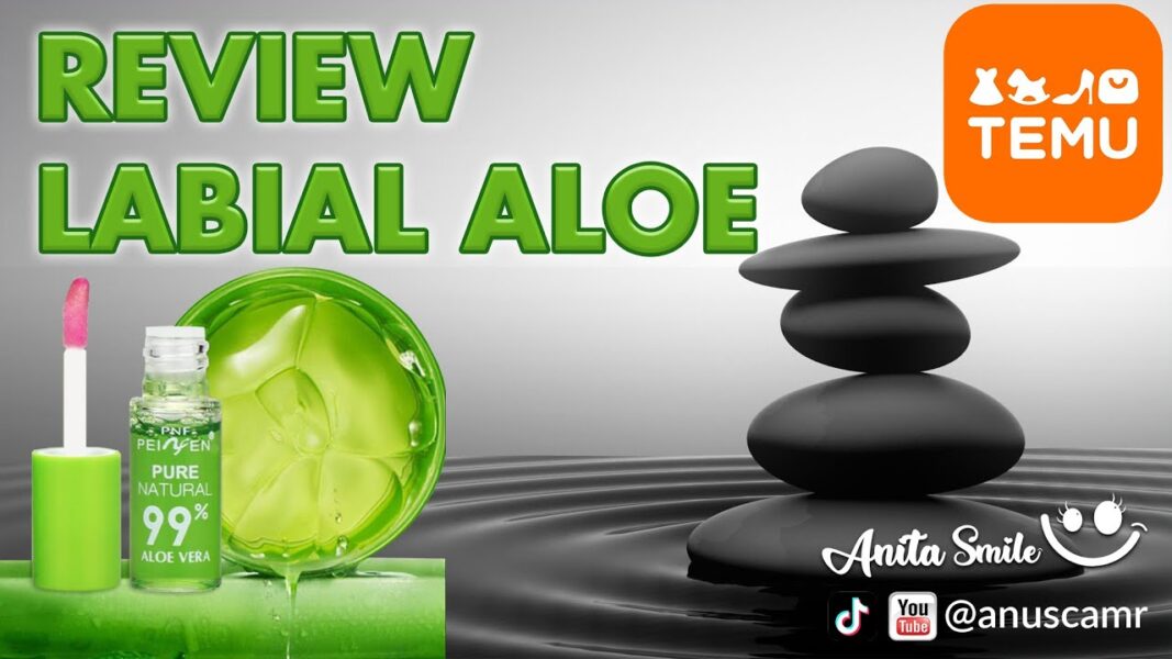 Review del Labial Aloe de TEMU